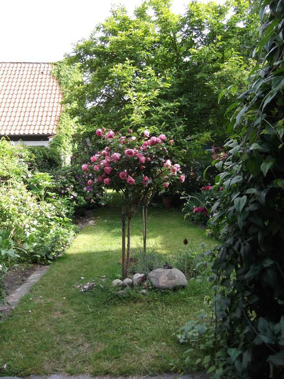 Gast In Hedwigs Haus Auf Dem Meere 3* Lüneburg